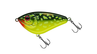 EG-064 Belly Buster