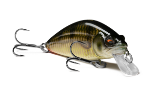 SHAD (Шэд)