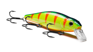 Jer-O Minnow
