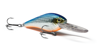 Diving Shad