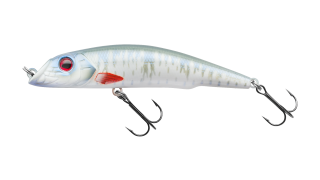 EG-024F Darter-R King 105