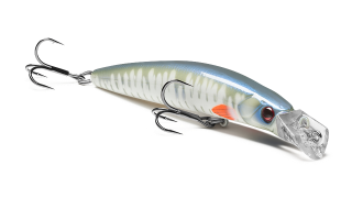 Top Water Minnow