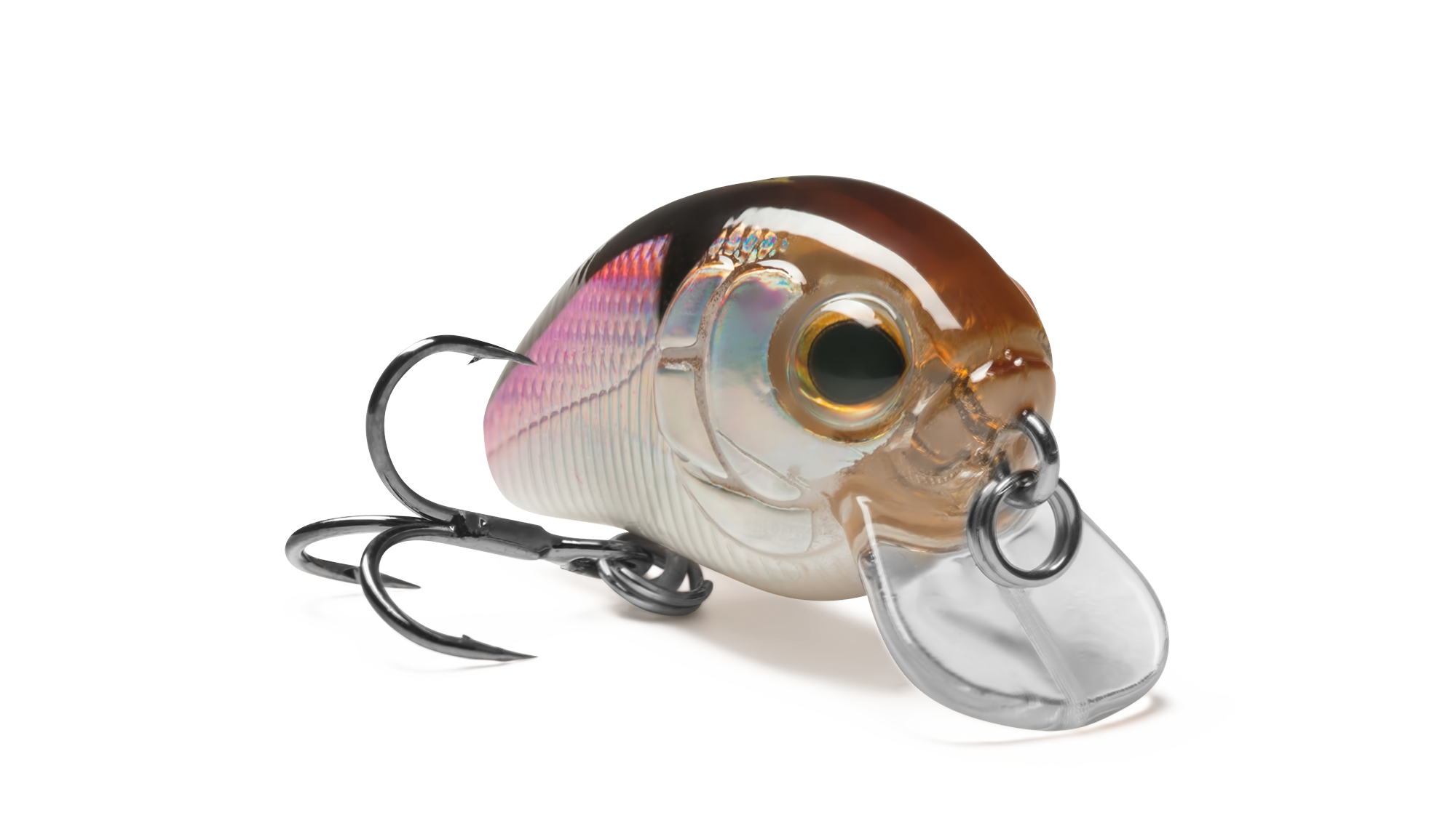 EG-036F Baby Pro 25