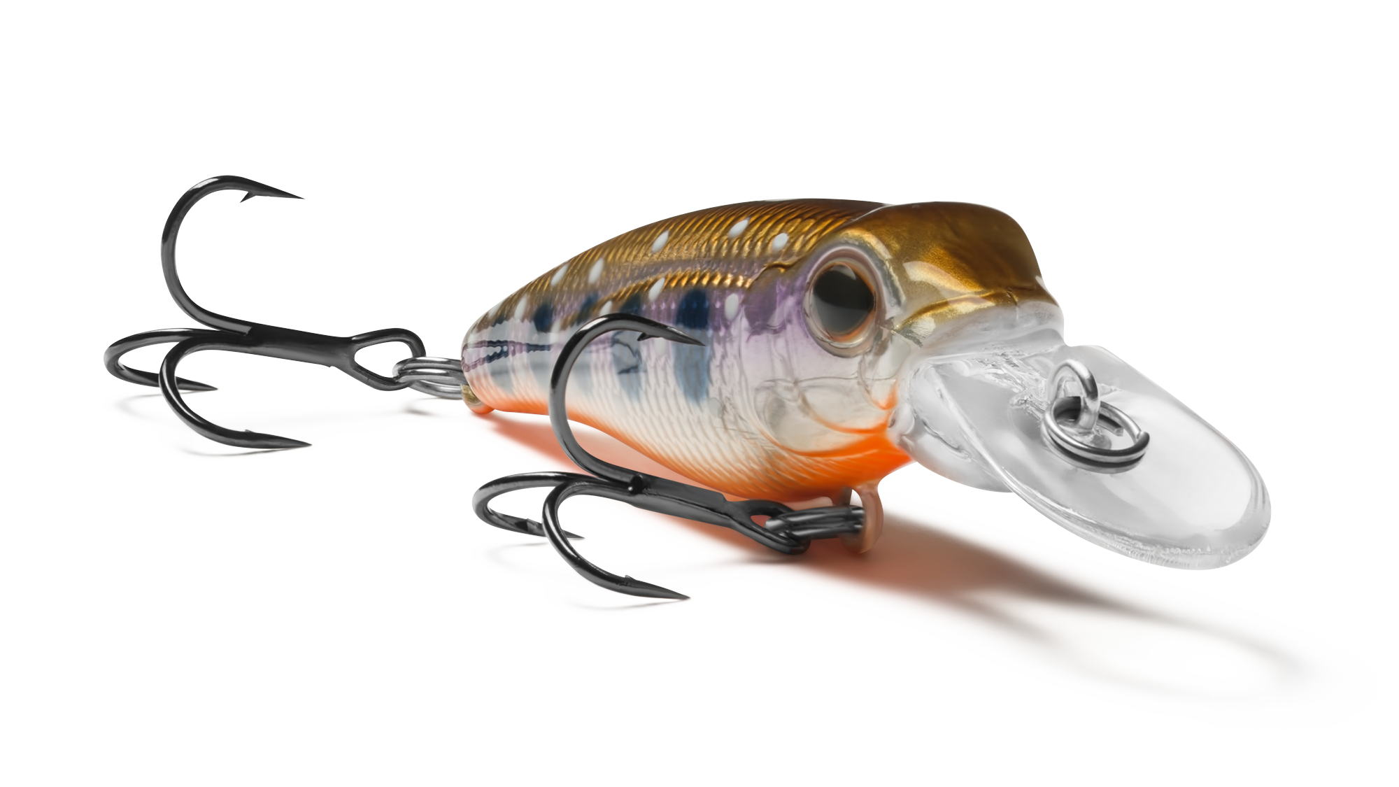 EG-073F Pygmy 40