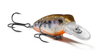 Pygmy 40