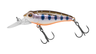 EG-073F Pygmy 40