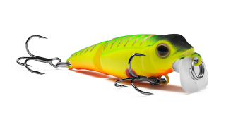 Pygmy Jointed