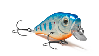 Aquamax Shad