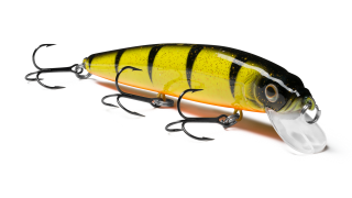 Alpha Minnow