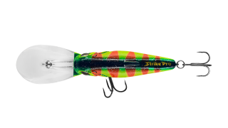 EG-080F Turtle 65