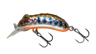 EG-097A Warted Toad 45