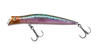 JL-191F Darter-R Queen 100