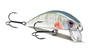 Euro Minnow