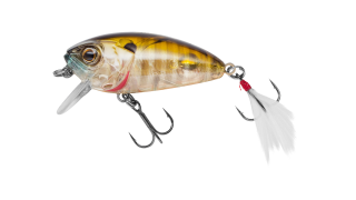 EG-134F Stumpy Fly 40