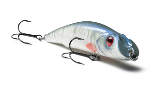 EG-024A Darter-R King 90