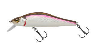 EG-125A-SP Archback 80SP