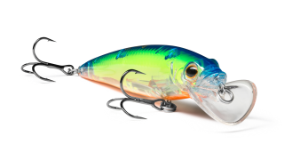 EG-124C Beakster 110