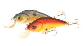 EG-081BJ Supersonic Joint 60