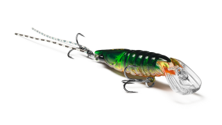 Shrimp 50