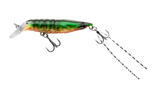 EG-114SP Shrimp 50
