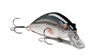 EG-162-SP Shifty Shad 80SP