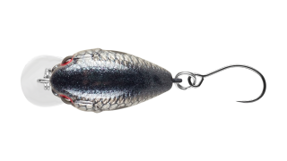 EG-182-SP Crazy Plankton
