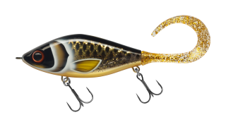 EG-208AS Guppie Jr. Shallow